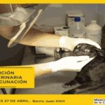 Jornada de atención veterinaria y vacunación antirrábica en Parque Chacabuco