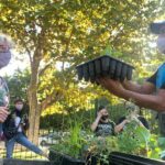 Nueva huerta comunitaria en el Parque Centenario