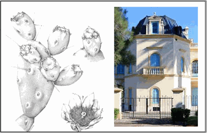 Arte Botánico Argentino en la Chacra de los Remedios