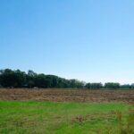 Rechazo a la cesión de tierras públicas del Parque Sarmiento al club Belgrano Athletic