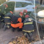 Un hombre fue atropellado en Tamborini al 4300