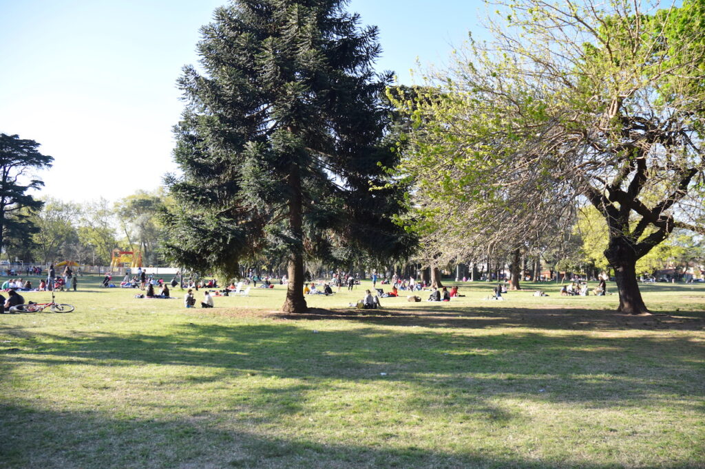 La Junta Comunal 12 creó una Comisión de Ambiente para cuidar los espacios verdes