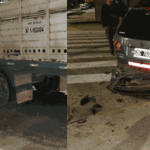 Choca camión de ganado con tres autos en Lugano