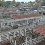 ¿Se viene una semana con escasez de carne?