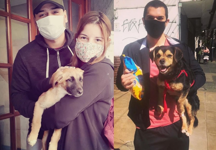 Una vecina de Urquiza fundó Sumá un amigo, para dar “una segunda oportunidad” a animales callejeros