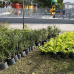 EL GCBA realiza obras en la Plaza del Ángel Gris