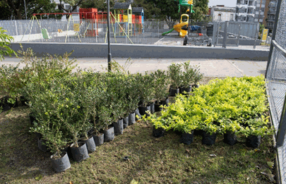 EL GCBA realiza obras en la Plaza del Ángel Gris