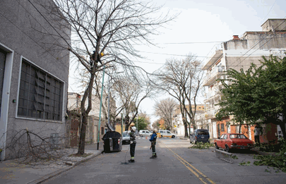 Comenzó la temporada de poda invernal en la comuna 7