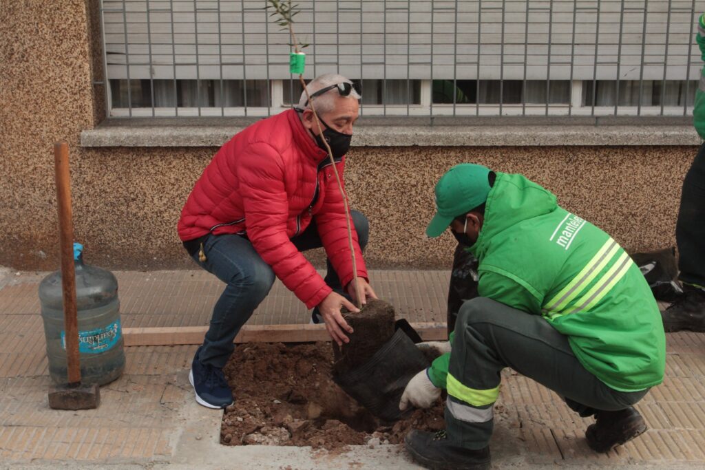 Villa del Parque: en el Día del Vecino, inauguraron el primer corredor nativo de la Ciudad