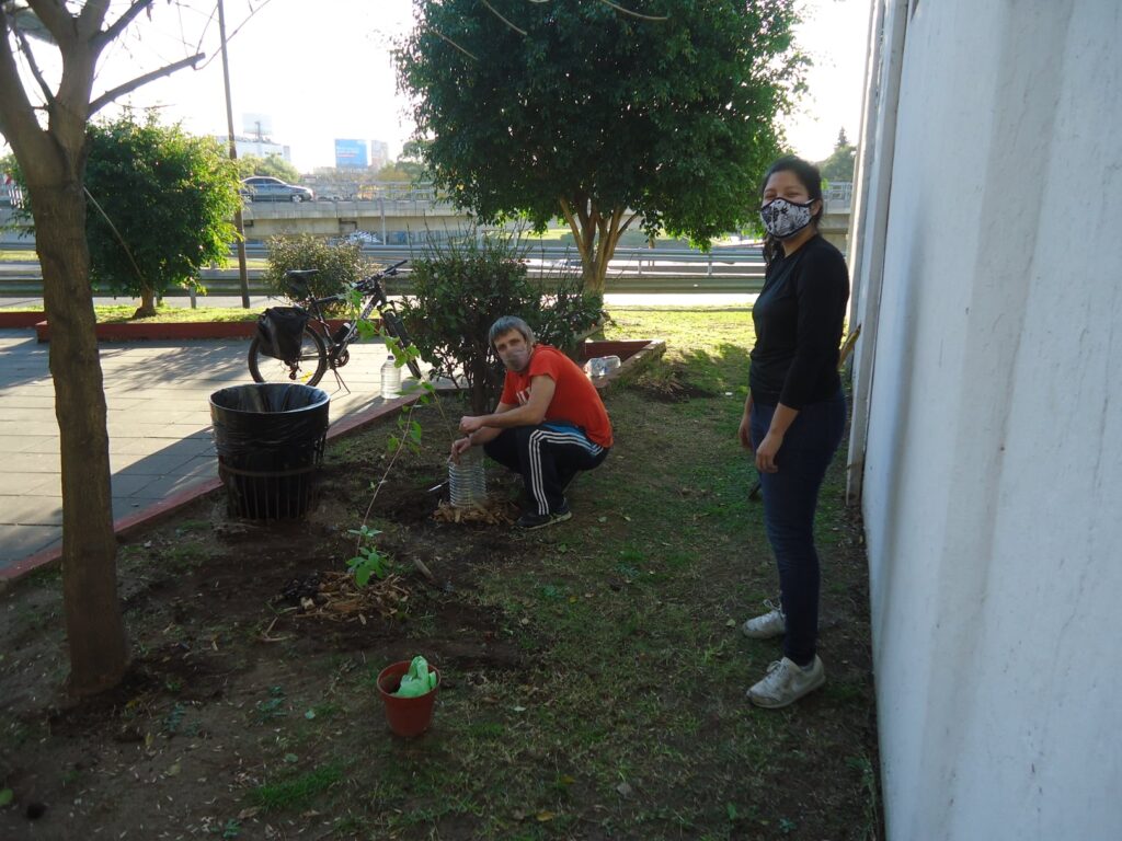 Vecinos de Saavedra plantaron árboles nativos en la plazoleta de Salto y colectora General Paz
