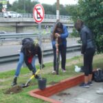 Villa Cerini: vecinos plantaron más árboles nativos en la plazoleta de General Paz y Salto