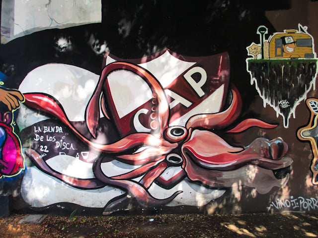 “Mi mirada del barrio”: un fotógrafo y vecino compartió un ensayo con pintorescas fotos de Saavedra