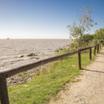 Elevaron al GCBA la primera tanda de firmas por un Parque Público en Costa Salguero