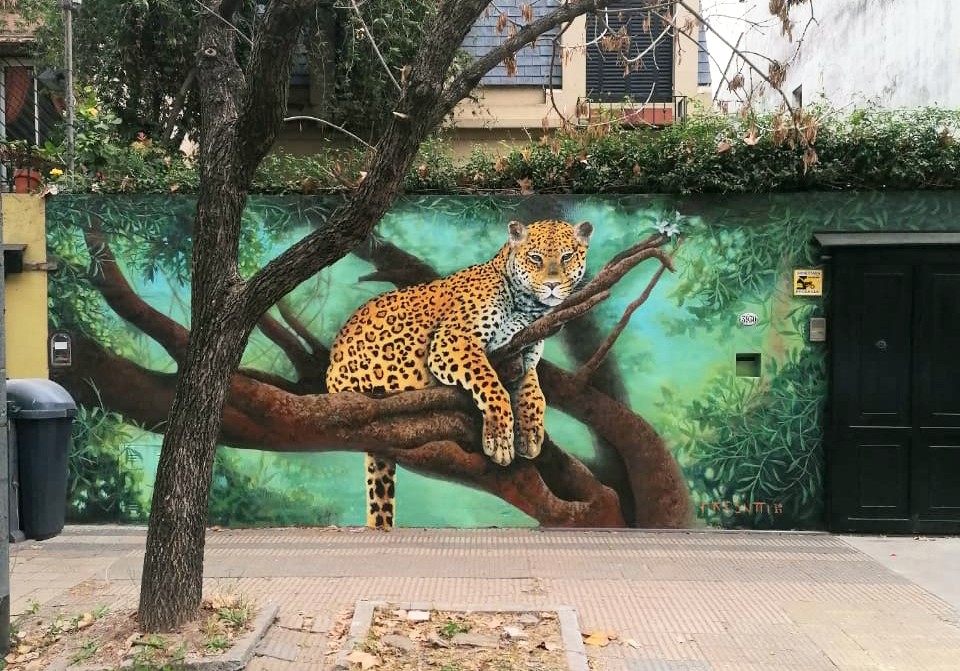El muralista Jeremias Presutti pintó un jaguar gigante a metros del Parque Saavedra