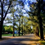 La Legislatura porteña pidió gestiones para reabrir el Parque Agronomía