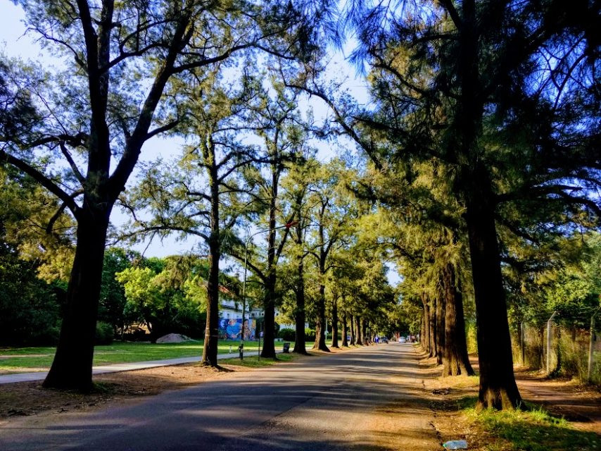 La Legislatura porteña pidió gestiones para reabrir el Parque Agronomía