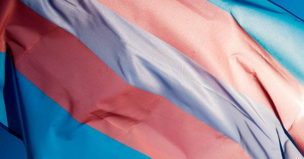 Ley de Promoción del Acceso al Empleo Formal para Personas Travestis, Transexuales y Transgénero “Diana Sacayán-Lohana Berkins”