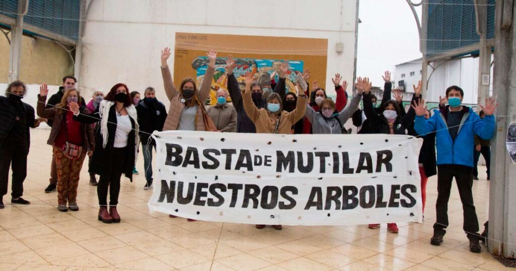 Extracción y tala de árboles en la Ciudad, un negocio de 4 millones de pesos diarios