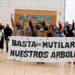 Extracción y tala de árboles en la Ciudad, un negocio de 4 millones de pesos diarios