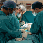 Los hospitales Garrahan y El Cruce se unen para realizar trasplantes pediátricos