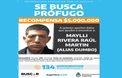 El Gobierno ofrece millonaria recompensa por Dumbo