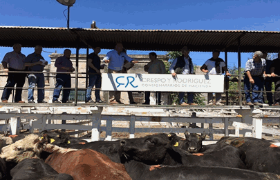 Pesar en el Mercado de Liniers el fallecimiento de un reconocido consignatario