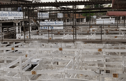 Sigue el paro del campo y no hubo ingresos de animales en el Mercado de Liniers