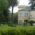 Continúan las actividades de vacaciones de la Chacra de los Remedios