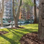 Finalización de las obras en la plaza del Ángel Gris