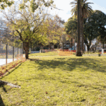 Unidad de testeo móvil en plaza de Flores