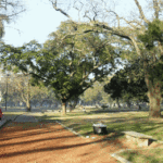 Parque España: La Justicia ratificó la orden al Gobierno porteño de no avanzar con las obras