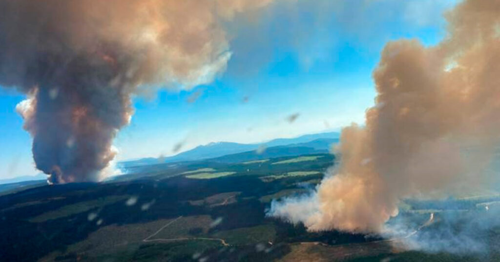 Hijos y nietos al espiedo