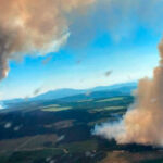 Hijos y nietos al espiedo