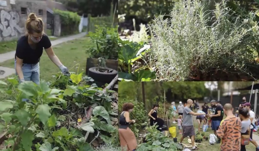 Apoyo desde Saavedra, Coghlan y Villa Pueyrredón a la Ley de Huertas Agroecológicas en veredas porteñas