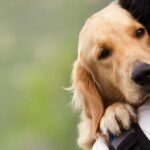 Turnos para atención veterinaria y vacunación antirrábica gratuita en el Parque Saavedra