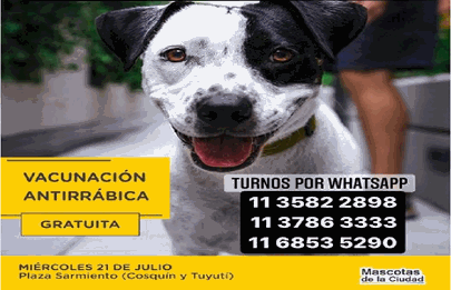 Campaña de vacunación de mascotas en el barrio de Liniers