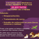 Desparasitación y atención de mascotas en la Villa 15