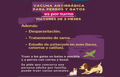 Desparasitación y atención de mascotas en la Villa 15