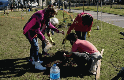 Nueva plantación en el parque de la Flora Nativa