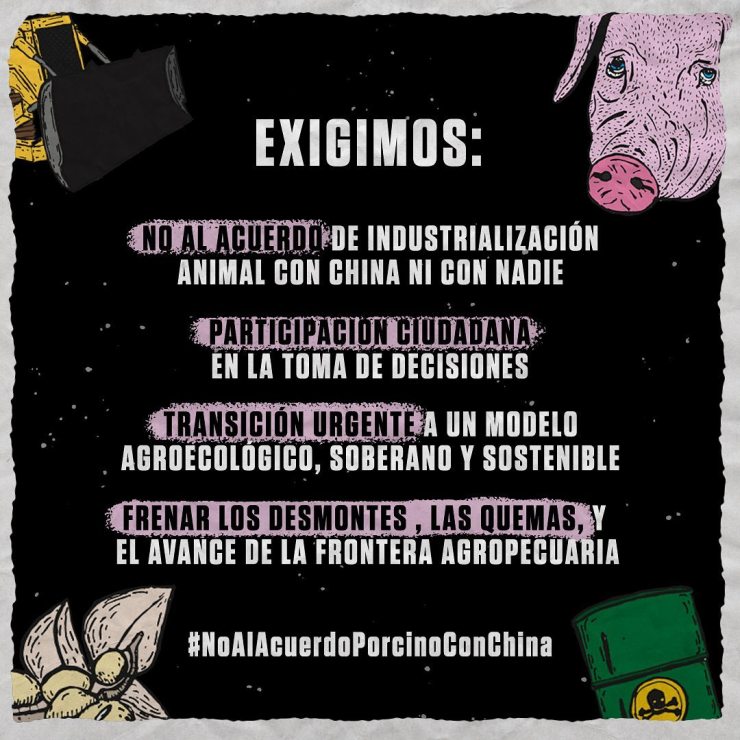 La protesta contra el acuerdo porcino frente a la embajada de China en Saavedra tendrá réplicas en todo el país