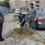 Comuneros del FDT en el día del Árbol plantaron ejemplares