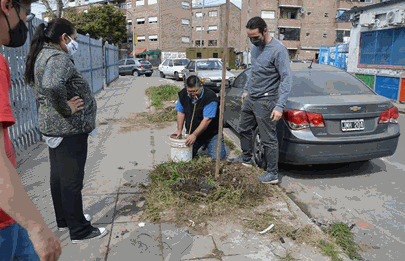 Comuneros del FDT en el día del Árbol plantaron ejemplares