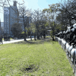 Comunicado de Comuneros del FDT de la Comuna 8 ante la protesta de trabajadores en la Autopista Dellepiane