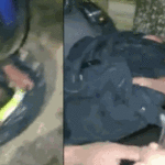 Bajo Flores: Beba recién nacida tirada en una bolsa de basura