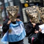 Saavedra: llaman a protestar frente a la Embajada de China en contra del acuerdo porcino