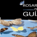 Museo Bernasconi: Tercera edición de Rosario nos GUÍA: Bichos