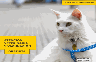 Inscripción para atención veterinaria y vacunación antirrábica gratuita en Parque Avellaneda