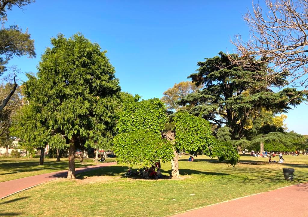 Saavedra tiene casi 17 m2 de superficie verde pública por habitante y triplica el promedio en CABA