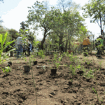 Reconocimiento al grupo de arbolado de Parque Avellaneda