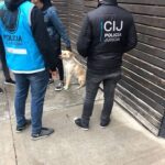 Núñez: tras una denuncia vecinal, imputaron al dueño de un perro por tenerlo en malas condiciones